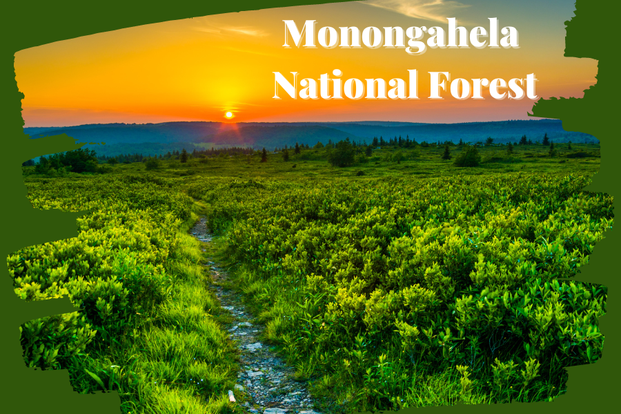 The Monongahela National Forest