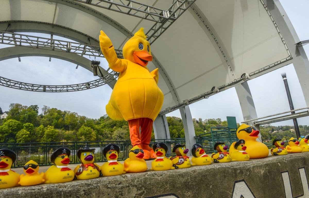 Join the Fun and Make a Splash at The Great Rubber Duck Race!