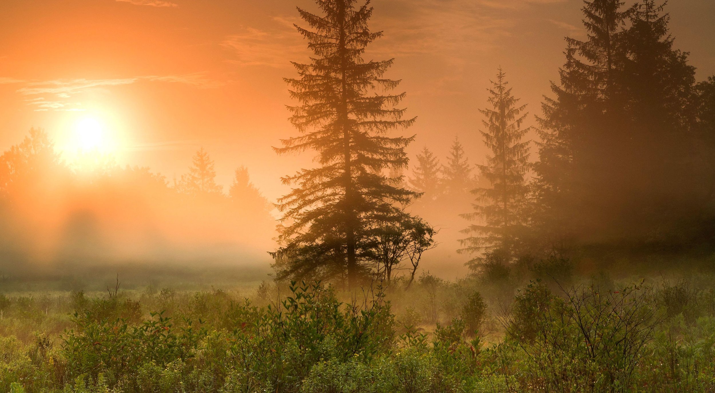 Chasing Gobblers in the Mountain State