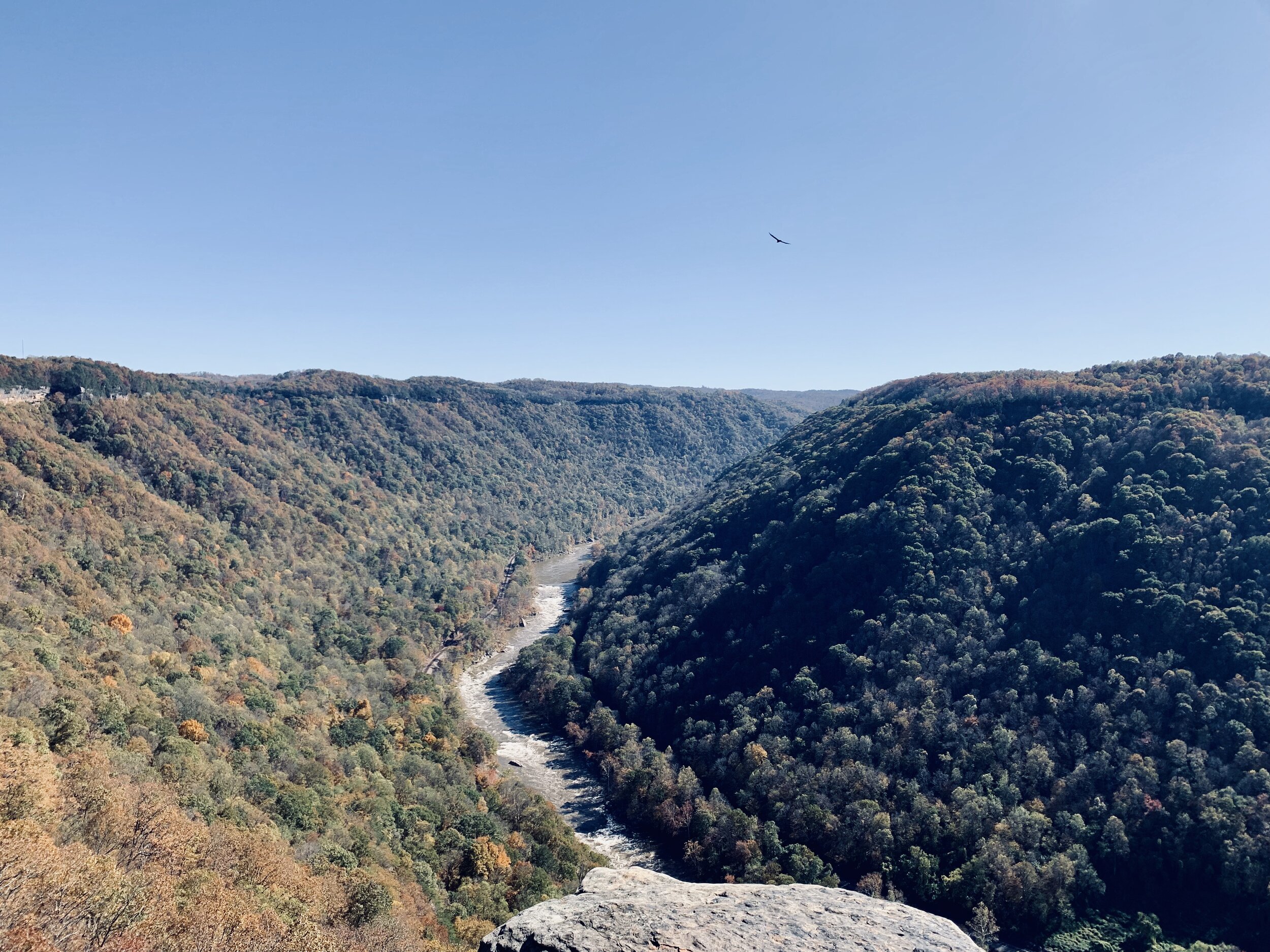 Endless Wall Trail at New River Gorge National Park and Preserve. (Katherine Allen)