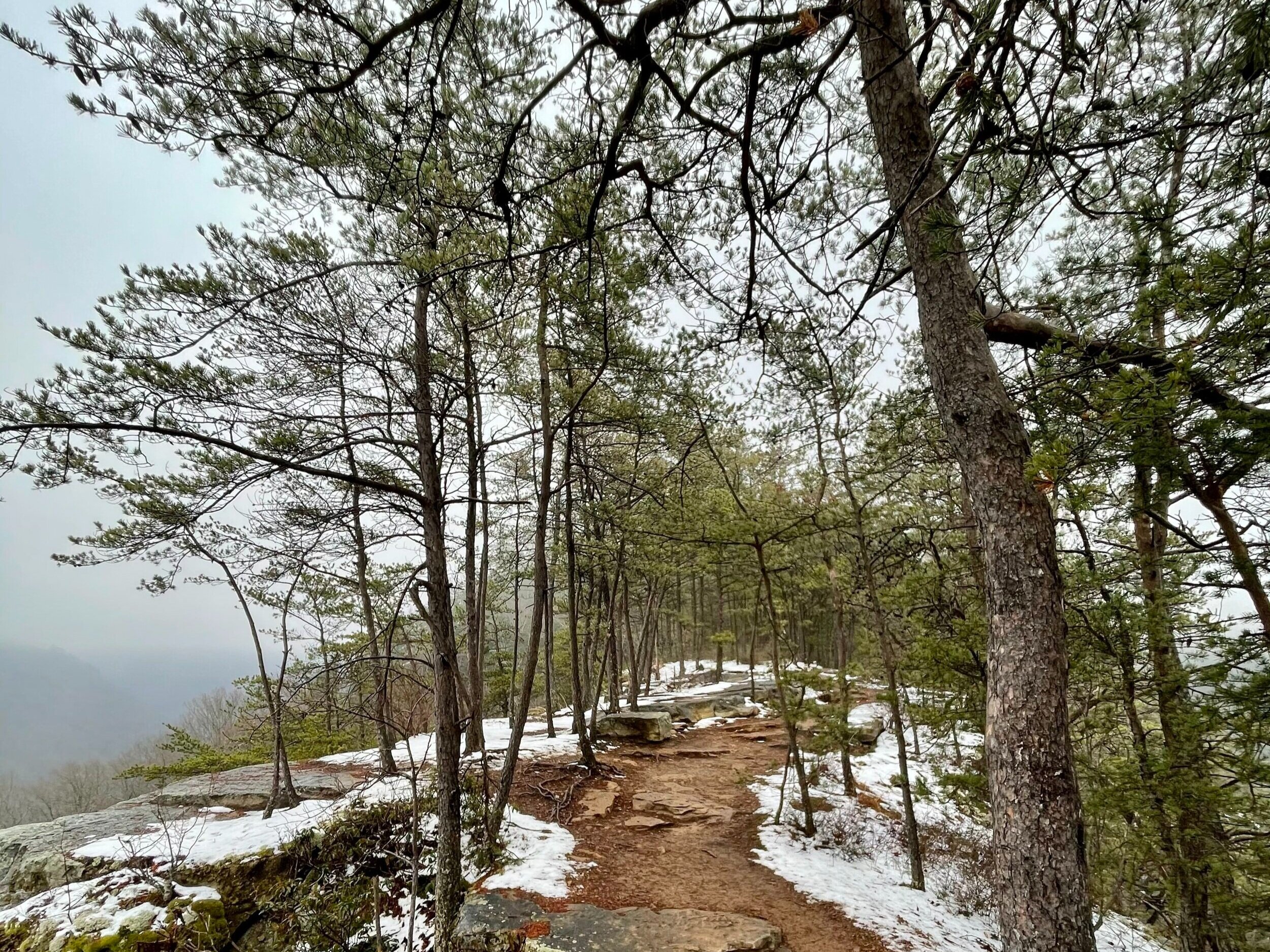 Along Long Point Trail (Photo Katherine Allen)